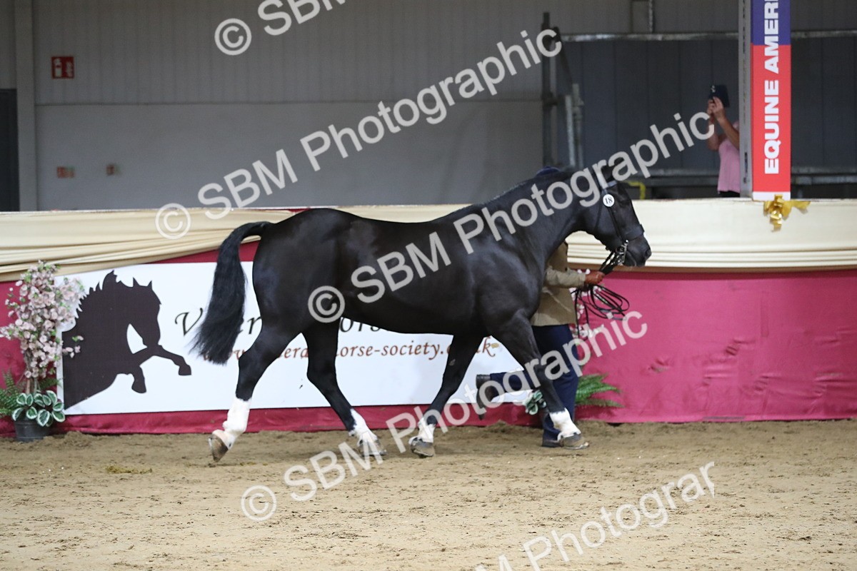 SBM_06326 - Class 9R Regional- IH Pre Vet