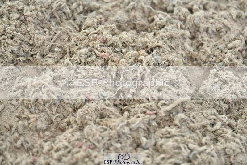 230721A-103102-05178 - Cls 30, 6 Yr Olds 1.20m