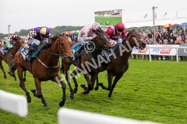 190523-Race 6-Eligible-7875 - Race 6 4.45pm Yorkshire Equine Practice Handicap