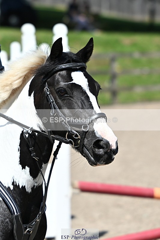 240729B-122218-02642 - Showjumping Competition