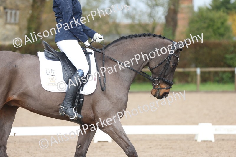 20260215-0307 - Class 5 - Elementary 5