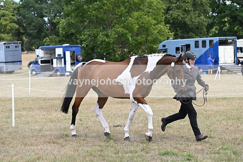 WJ6_6001 - Class 19 In-hand Veterans (Uploaded correct folder)