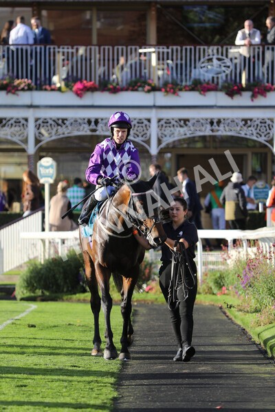 yr07102022r6-35 - Race 6 5.00pm William Hill Lengthen Your Odds EBF Novice Stakes