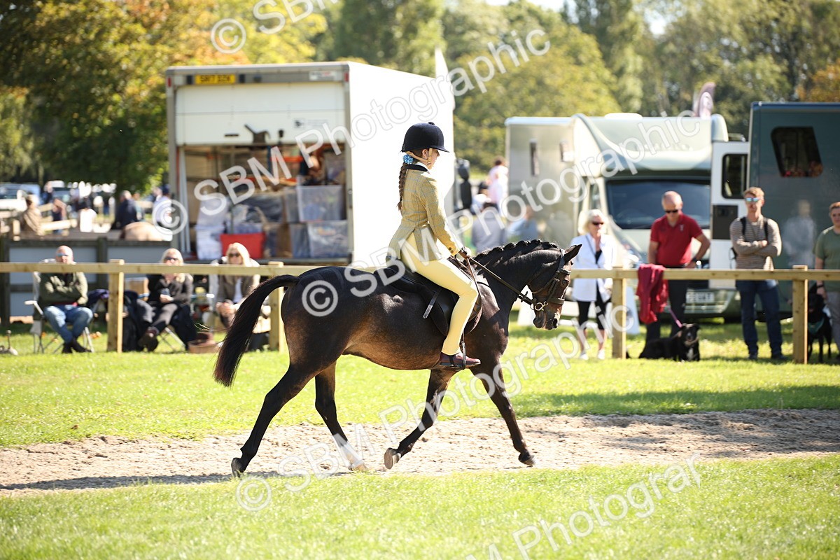 SBM_39017 - S11 - Best Ridden Horse & Pony
