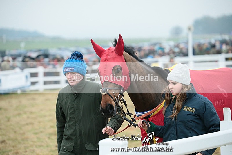PtP 261123 182 - Hursley Hambledon Point-to-Point Larkhill 26 Nov 2023
