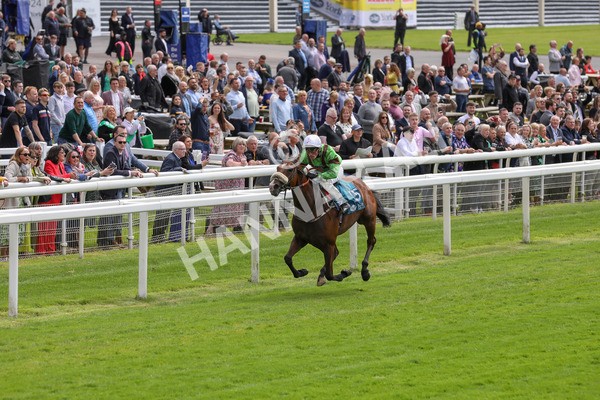 140624-Race 1-Tolstoy-5496 - Race 1 1.50pm Andy Thornton Hospitality Furniture Apprentice Handicap