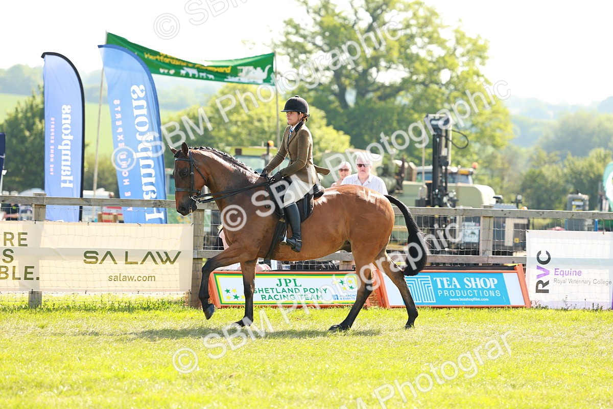 SBM_12046 - Class 66-69 - RIHS Ridden Hunters Inc Small Hunter