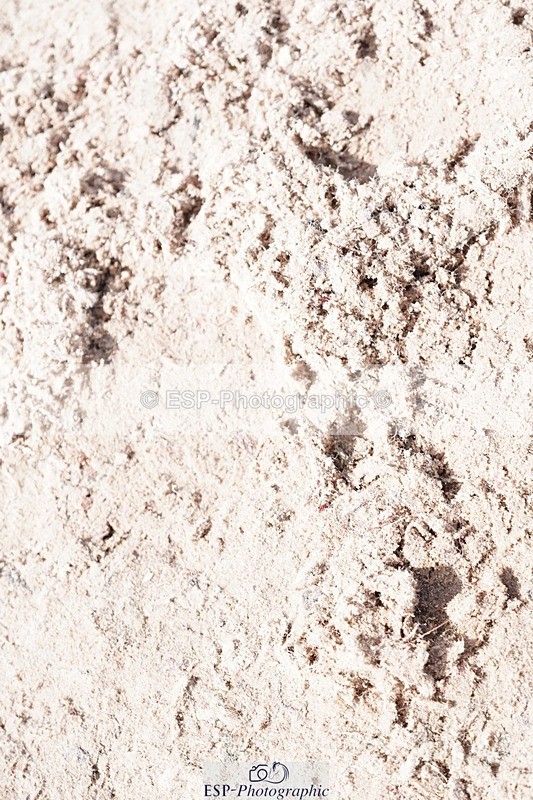 250425-133020-10022 - Cls 34 Young Horse 7yr old