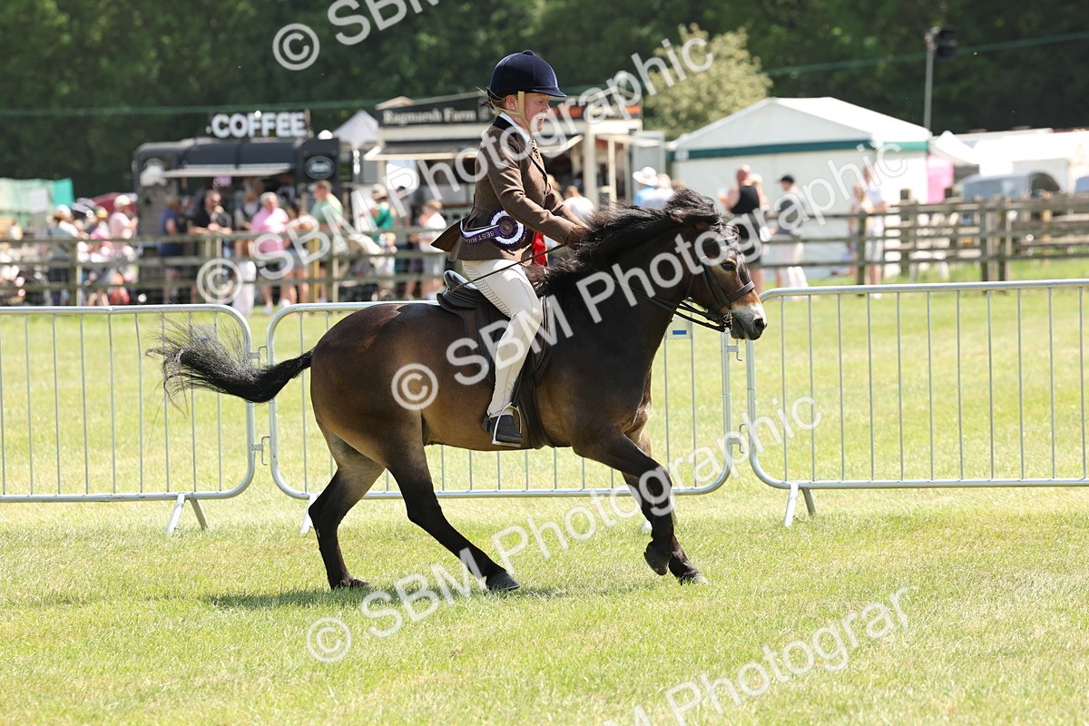 SBM_06870 - Class 26-30 - Mountain and Moorland Ridden
