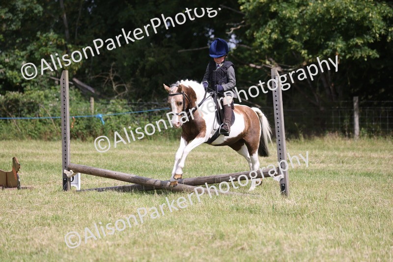 20260614-0683 - Class 20 - Beginners Working Hunter Pony