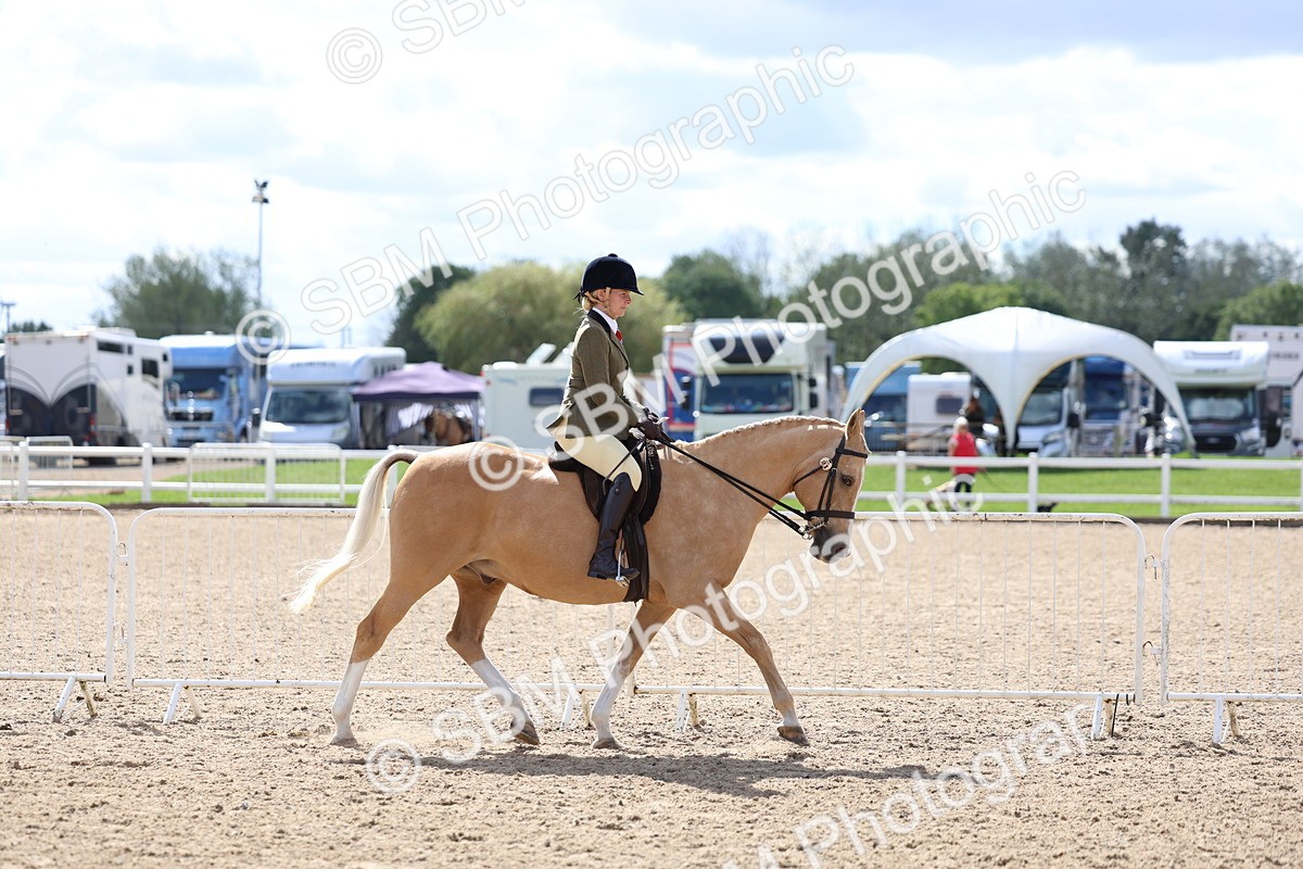 SBM_13259 - Class 311 - Ridden Show Pony Show Hunter Pony