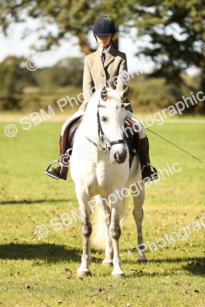 SBM_19183 - S3 - TSR Ridden Pony Showing