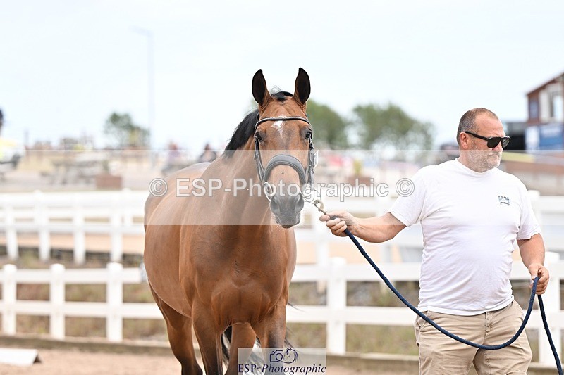 250716-155456-02278 - Trot Up 3.30 to 4.30