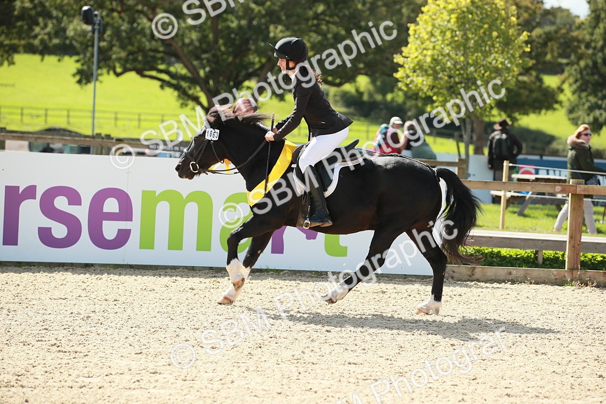 SBM_25462 - J28 Senior 60cm Championship