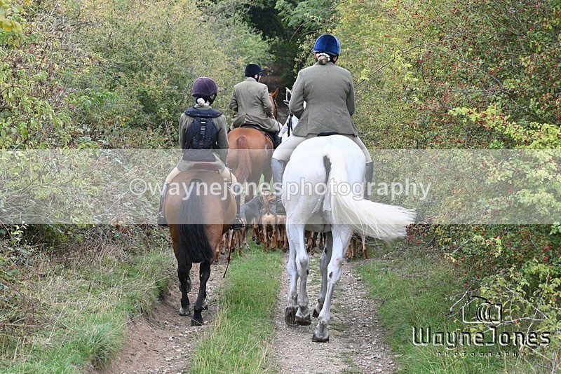 WJ7_1151 - Berks & Bucks Hound Exercise Blewbury 13-09-26