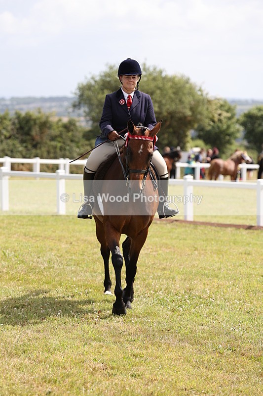 JPP_1356 - Class 17: Cornish Combination Open