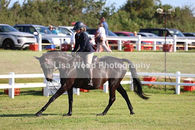 3E7A5391 - Class 2: Rising Star Large Hack/Riding Horse