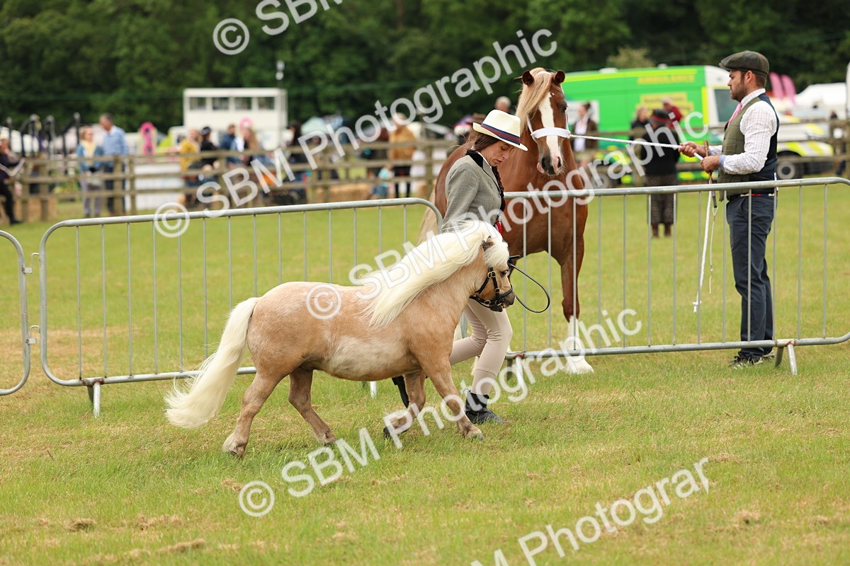 SBM_03496 - Class 58-67 - M&M Non Welsh Pony In hand