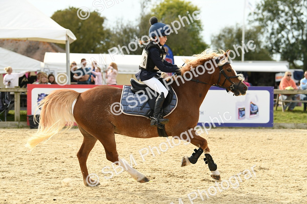 SBM_71043 - J15 - Junior Pony 70cm Championship