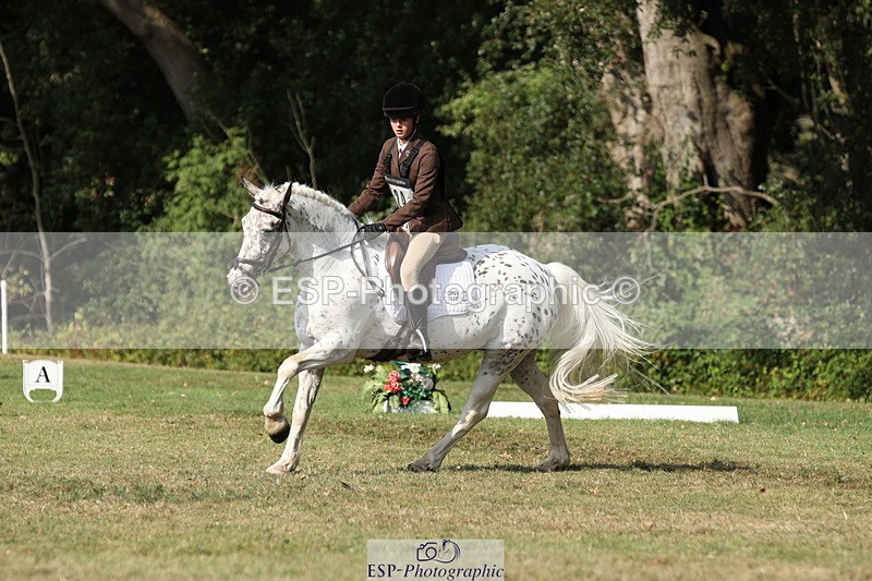 250823A-162403-33426 - PC80 Ride Off