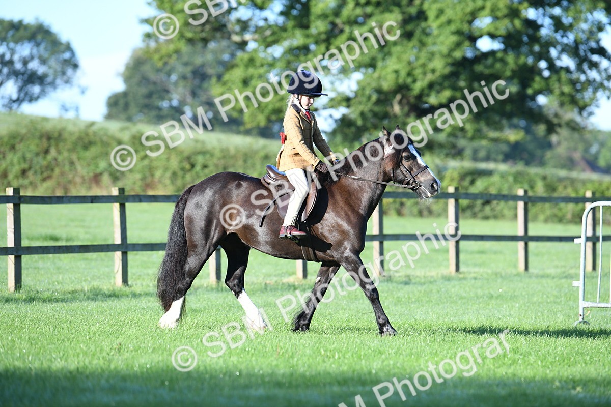 SBM_33938 - S16 - Condition & Turnout - Ridden