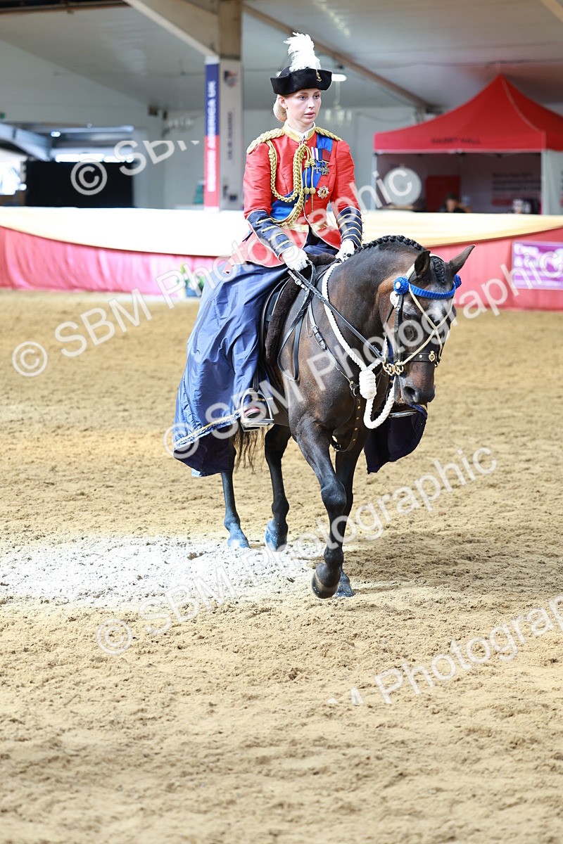 SBM_14788 - Class 107 - Ridden Costume - Astride Adult  (20+)