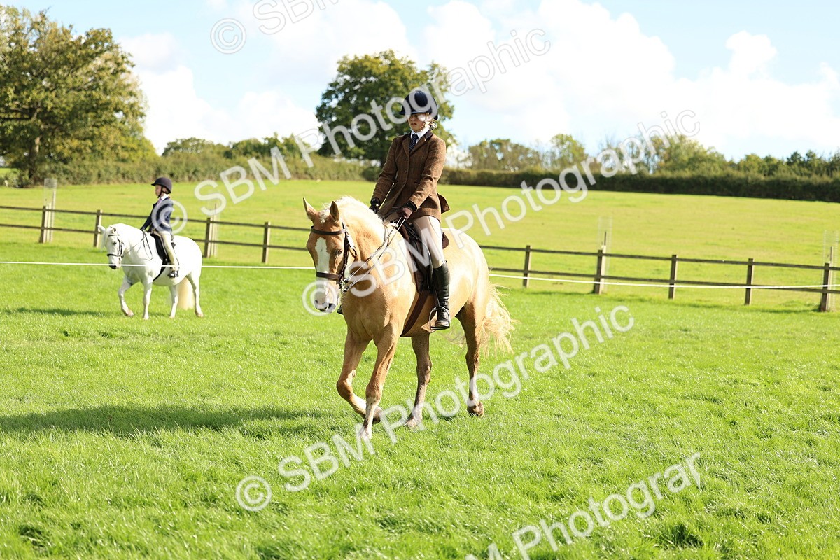 SBM_50069 - S34 - Novice & Newcomers Working Hunter