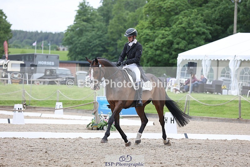 240523-164940-06064 - 235-GREENHALL_JAY-Henry_Hobby