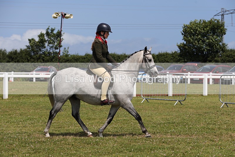 1X9A4127 - Class 32: Show Hunter Pony 153cm and under