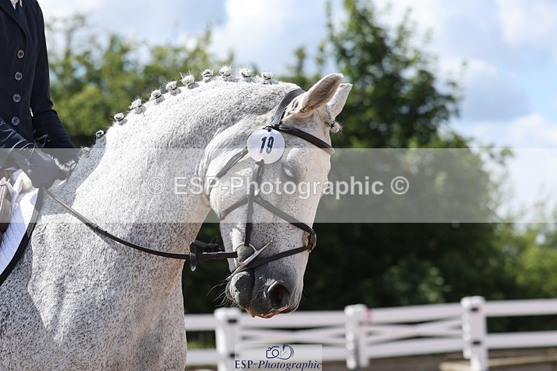 240706A-155135-04281 - Cls 9 RT Novice 27