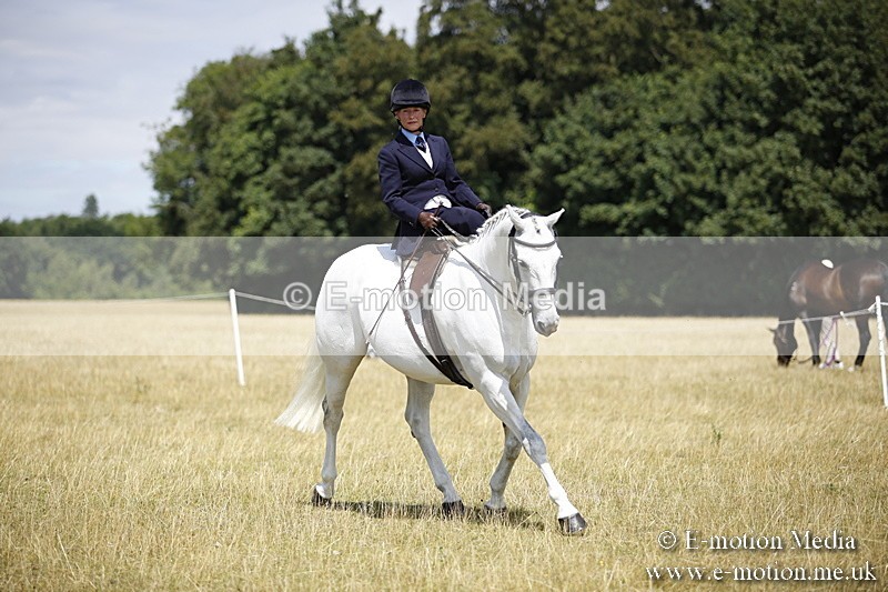 _C7A0250 - Side Saddle Classes BVRC Show 2018