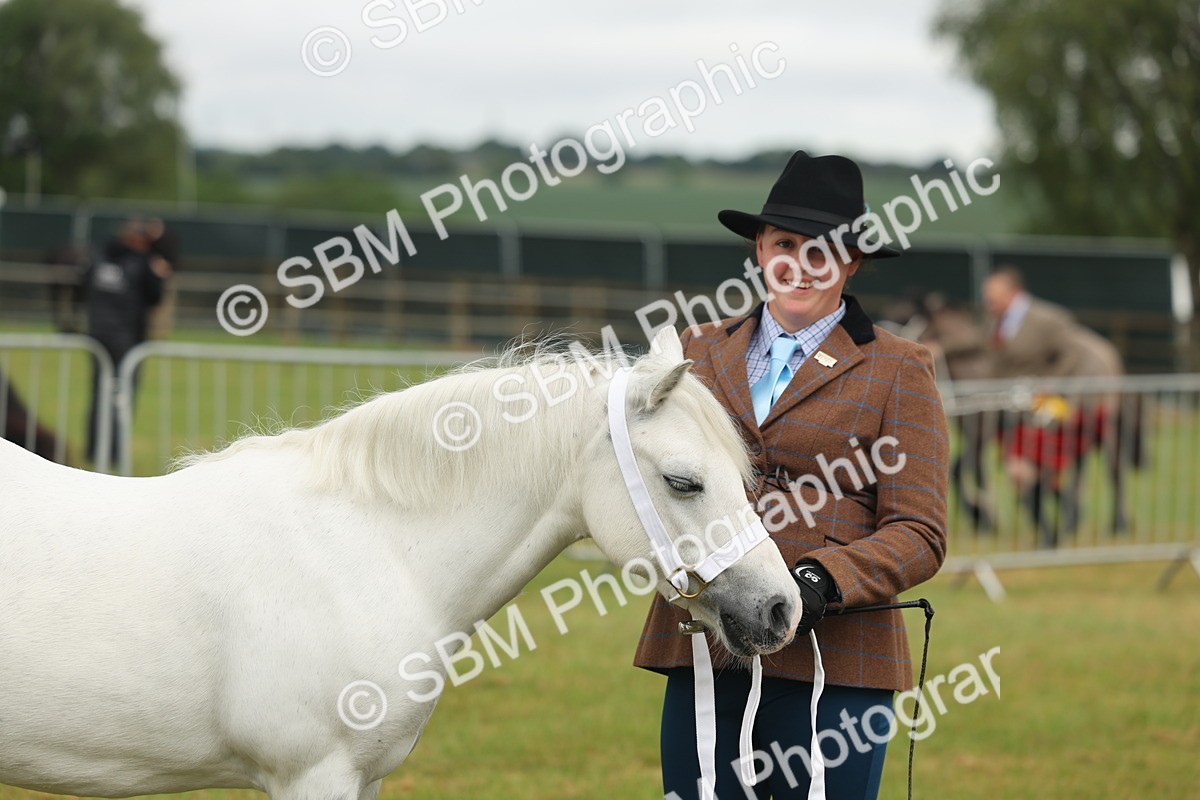 SBM_01595 - Class 50-57 - M&M Welsh Pony In Hand