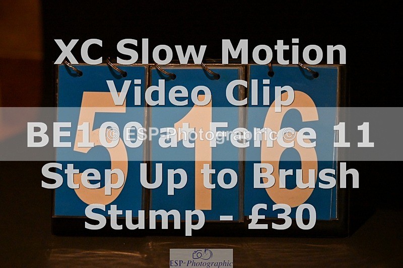 ESP_516 - 516-L.Bdr.Ellie.Mitchell-MICRON.JOY