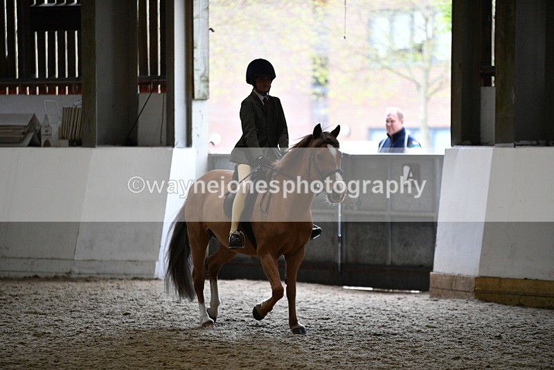 WJ5_6803 - Class 10 Childs Pony