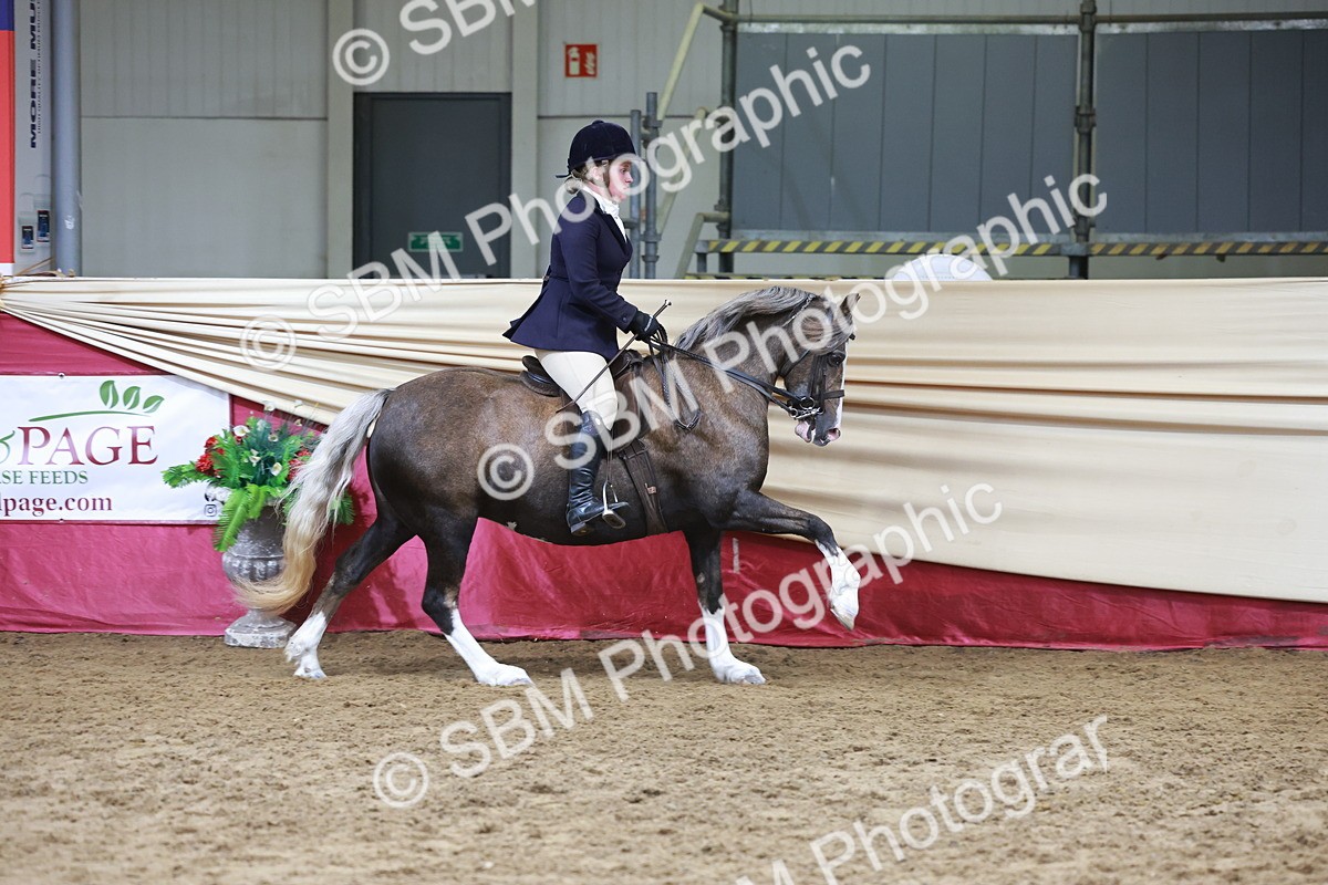 SBM_18553 - Class 952 - M&M Ridden Supreme Final