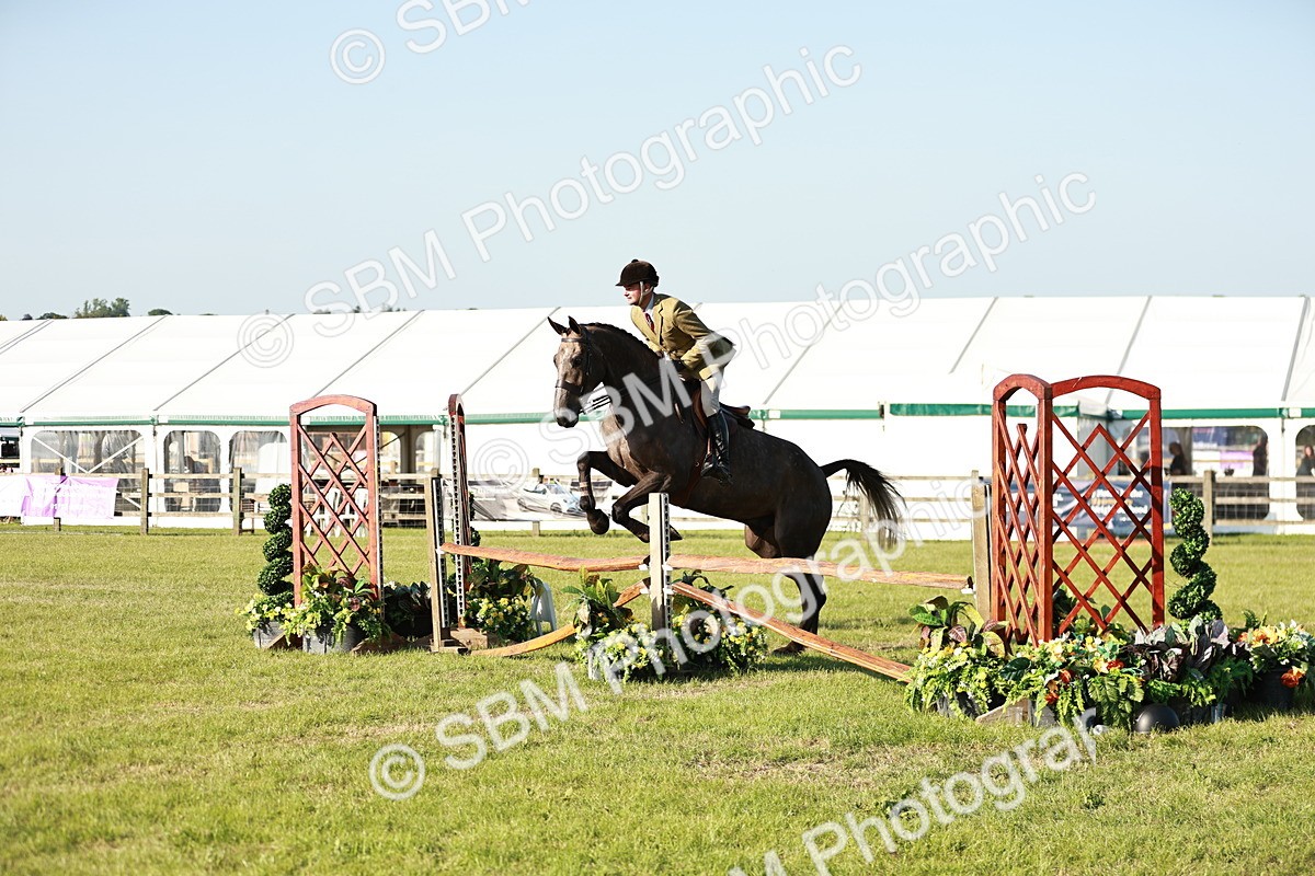 SBM_20149 - Class 117-119 - Sport Horse Working Hunter