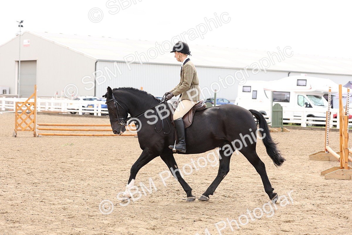 SBM_04223 - Class 54 - Riding Club Horse/Pony