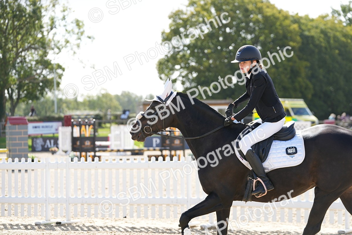 SBM_17829 - J58 - Clear Round 50cm