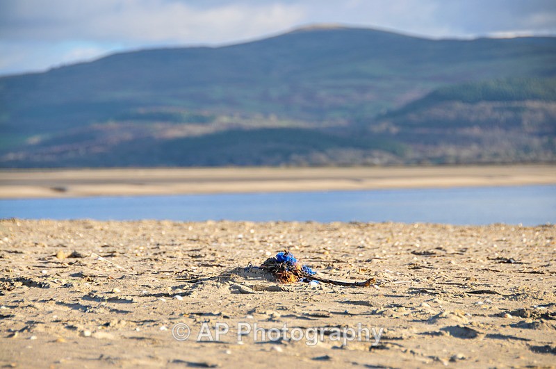Ynyslas_1969 - Ynyslas