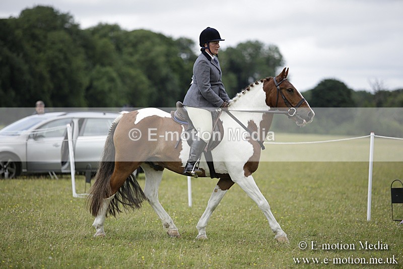 BVR160717-1874 - Ring 1 BVRC Show 16/07/17