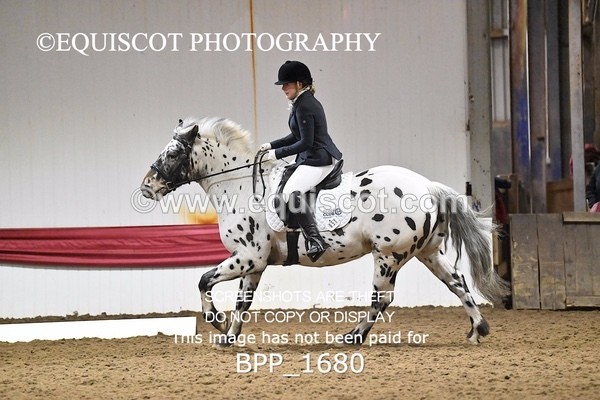 BPP_1680 - PC NOVICE DRESSAGE