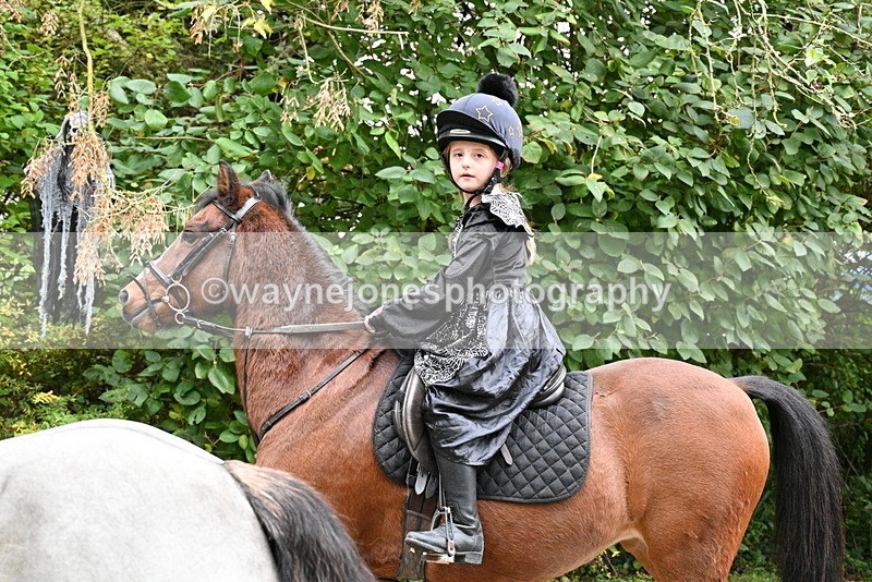 WJ7_6412 - Berks & Bucks - Children's Meet - The Old Farmhouse – Steventon.