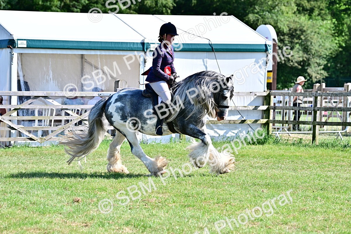 SBM_19467 - Class 101-102 - BSPS LIHS Performance Coloured Horse/Pony