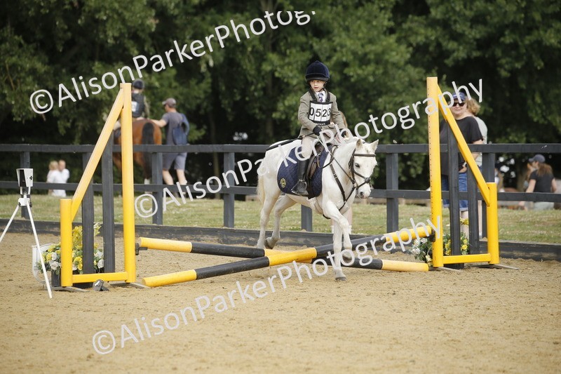 20250622-1453 - 40cm