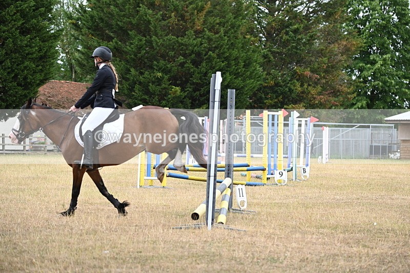 WJ6_0242 - Class 13 Novice Jumping 60cm