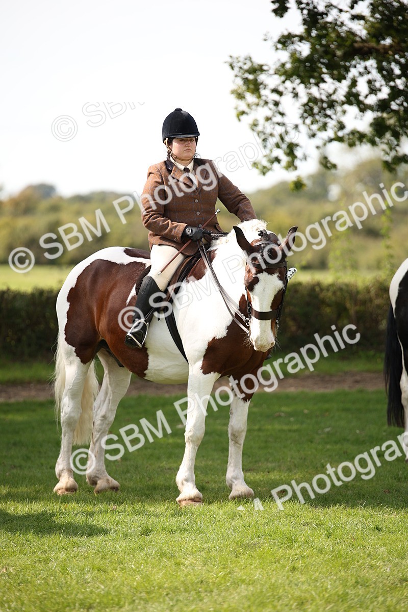 SBM_70136 - S65 - Piebald & Skewbald Horse Ridden