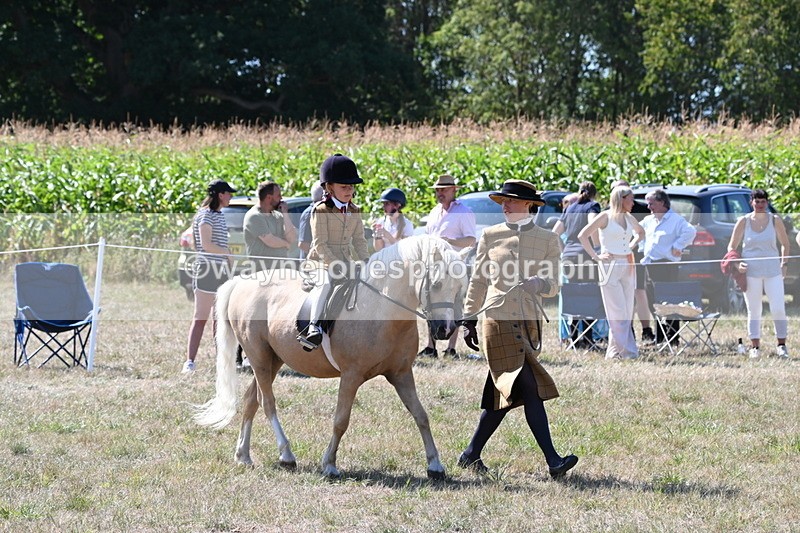 WJ6_8050 - Class 36 Lead Rein