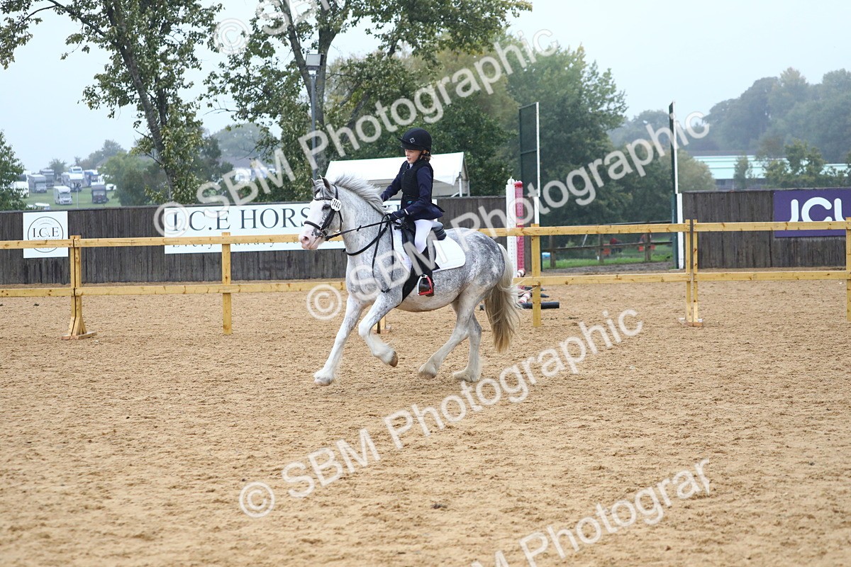 SBM_71696 - J4 - Mini Tour Junior Pony 45cm Championship