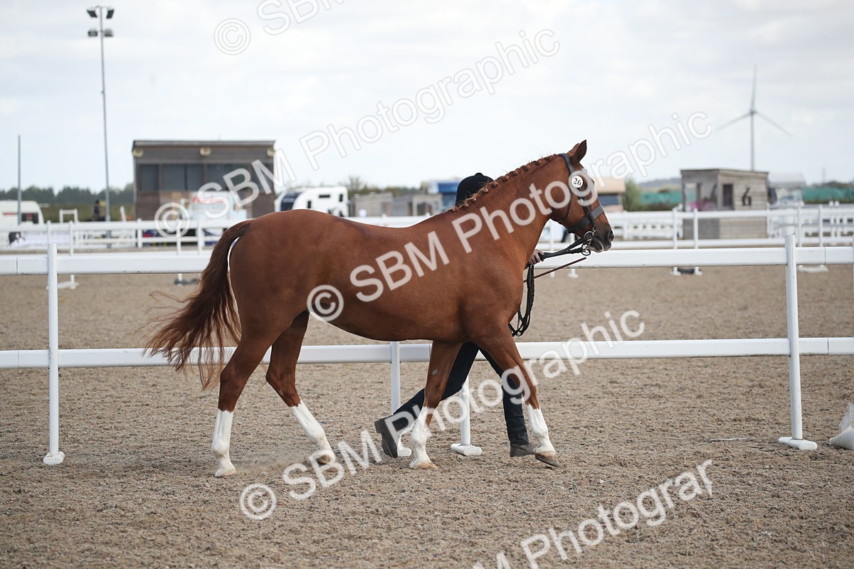 SBM_23509 - Class 604 - 2026 - Area IH Diamond