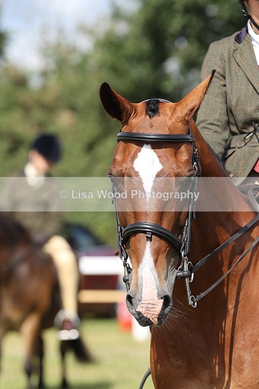 JPP_0868 - Class 16: Cornish Combination Young Rider